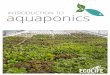 Introduction to Aquaponics Manual - ECOLIFE … Aquaponics 2 This manual is brought to you by ECOLIFE. Saving ... Or smaller tanks try the Albino Bushynose Pleco, which grow no longer