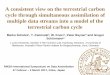 A consistent view on the terrestrial carbon cycle through ... · multiple data streams into a model of the terrestrial carbon cycle RIKEN International Symposium on Data Assimilation