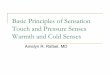 Basic Principles of Sensation Touch and Pressure … Principles of Sensation Touch and Pressure Senses Warmth and Cold Senses Amelyn R. Rafael, MD. Sensory Receptor A specialized structure
