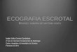ECOGRAFIA ESCROTAL - …clinicauniversitariaradiologia.pt/tematica/Ecografia_escrotal.pdfCanal inguinal (72 -80%) ... (excepto se abcesso ) ... exposição ao asbesto , trauma, herniorrafia