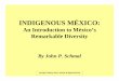 INDIGENOUS MÉXICO - Somos Primos · INDIGENOUS MÉXICO: An Introduction to México’s Remarkable Diversity ... U.S.-based (Hopi, Comanche, Paiute) Southern Uto-Aztecan (49 Languages)