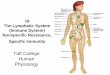 Taft College Human Physiologyfaculty.taftcollege.edu/dsheehy/includes/courses/Physiology7... · Lymph Tissue Fluid Plasma Tissue Fluid Lymph Vessel ... major difference being that