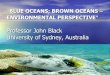 Professor John Black University of Sydney, Australia Oceans Keyno… ·  · 2015-01-21“BLUE OCEANS; BROWN OCEANS – ENVIRONMENTAL PERSPECTIVE” Professor John Black University