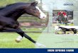 CONSul - Amazon Web Services ISF BY CONSUL IRON SPRING FARM Photos by Terri Miller and Roland Keller 1984 KWPN Stallion Dark Bay, 17H by Nimmerdor Pref out of …
