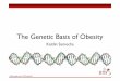 The Genetic Basis of Obesity - Science in the Newssitn.hms.harvard.edu/wp-content/uploads/2011/05/obesity-2.pdfThe Genetic Basis of Obesity ... Why do we think genes play a role in