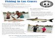 Fishing in Las Cruces - wildlife.state.nm.us · Fishing in Las Cruces ... catfish of any size per day, and can have 4 in your possession. ... PowerPoint Presentation Author: Jeremy
