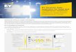 EY forensic data analytics for legal and compliance … · EY forensic data analytics for legal and compliance response Hosted by EY Virtual Analytics Infrastructure (EY Virtual)