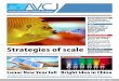 Strategies of scale - AVCJ |Asia private equity and …€™s Private Equity News Source avcj.com April 14 2015 Volume 28 Number 13 ANALYSIS DEAL OF THE WEEK Strategies of scale Fund-of-funds