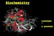 Biochemistry - ScienceGeek.net Homepage€¦ · PPT file · Web view · 2011-03-29Biochemistry. Lysozyme – a protein. Carbohydrates. ... The complex carbohydrates. Carbohydrates