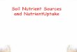 Soil Nutrient Sources and NutrientUptake - Agronomy Nutrient Sources and NutrientUptake. ... enzymes, and a multitude of other organic compounds. ... Soil colloids (clay and organic