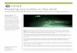 Keeping sea turtles in the dark - National Fish and ... · progress – until 2010, ... Sea turtles face threats to their survival from the moment ... Tracks left by sea turtle hatchlings