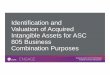 Identification and Valuation of Acquired Intangible … and Valuation of Acquired Intangible Assets for ASC 805 Business Combination Purposes. ... Review of Intangible Asset Financial