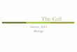 The Cell - Mrs. Moretz's Science Site · microscope and natural light ... animal cells. Storage area for ... surrounding the cell. Used to move the cell. Title: The Cell Author: