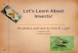 Let’s Learn About Insects! - East Tennessee Wildflowerseasttennesseewildflowers.com/presentations/Insects.pdf · What is the difference between an insect and a spider? • Insects: