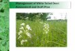 Management of White-Tailed Deer: Assessment and Draft … · Purpose of Assessment and Plan ... operations, orchards, and tree farms, as well as causing substantial damage to landscape