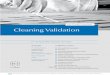 With 3 Parallel Workshops Cleaning Validation · Programme Cleaning Validation Concepts Introduction of relevant Guidelines CV Concepts CV Risk Management CV Plan CV Report