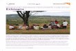 Case study Ethiopia - World Vision Internationalcdn.worldvision.org.uk/files/9614/6056/3445/Ethiopia1.pdf ·  · 2016-04-13BENEFICIARy FEEDBACK MEChANISMS CASE STUDy ethiopia BENEFICIARy