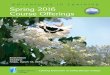 Adventures in Learning Spring 2016 Course Offeringscolby-sawyer.edu/assets/pdf/ail-catalog.pdfAdventures in Learning Spring 2016. 1. Adventures in Learning Spring 2016. Art Rosen