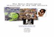 The Socio-Theological Discourses of Hip Hop Culture Socio-Theological Discourses of Hip Hop Culture Daniel White Hodge PhD ... Hip Hop: Beyond Beats & Rhymes (2006) Textbooks for CEDF