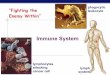 Immune System Biology I - Cloud Object Storage | Store ... · Diseases of the immune system HIV: Human Immunodeficiency Virus ... immune system body doesn’t hear the alarm ... Immune