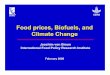 Food prices, Biofuels, and Climate Change - t Uecon.tu.ac.th/class/archan/Rangsun/EC 460/EC 460 Readings/Global...Food prices, Biofuels, and Climate Change ... -Milk and vegetables