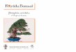 WINTER 2007 Pemphis acidula - Bonsai Societies of … Societies of Florida, Inc. VOL XXXVIII NUMBER 4 ISSUE 152 WINTER WINTER 2007 Pemphis acidula A Tropical Classic