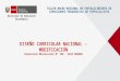 [PPT]Presentación de PowerPoint - wikihugorivera - home · Web viewDirección de Educación Secundaria DISEÑO CURRICULAR NACIONAL - MODIFICACIÓN Resolución Ministerial N 199 –