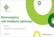Bioenergetics and metabolic pathways · Bioenergetics and metabolic pathways ... • Introduction to Bioenergetics • Metabolism • Metabolic Pathways ... Principles of Anatomy