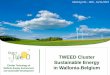 TWEED Cluster Sustainable Energy in Wallonia … Cluster Sustainable Energy in Wallonia-Belgium ... (via formule simple) : ce coût ne tient pas compte du coût de l’argent et permet