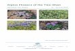 Alpine Flowers of the Tien Shan - Naturetrek Wildlife Holidays · the nodding Pulsatilla campanella, ... purple and cream Viola altaica, ... Alpine Flowers of the Tien Shan Tour Report