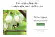 Conserving bees for sustainable crop pollination bees for sustainable crop pollination Many valuable and nutritious crops are dependent on bees for pollination Pollination •The transfer