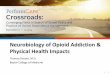 Neurobiology of Opioid Addiction & Physical Health … of Opioid Addiction & Physical Health Impacts ... hallucinogens • pcp 16 . Definition ... Neurobiology of Opioid Addiction