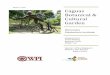 Caguas Botanical & Cultural Garden - Academics | WPIrek/Projects/Gar_Proposal.pdf · the story of Taíno lifestyle, culture, and legends. ... [CAGUAS BOTANICAL & CULTURAL GARDEN]