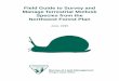 Field Guide to Survey and Manage Terrestrial Mollusk ... · Field Guide to Survey and Manage Terrestrial Mollusk Species from the ... Helminthoglypta hertleini ... The main body of