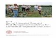 Cornell Integrated Crop and Pest Management Guidelines for Commercial Vegetable Production ·  · 2017-02-21Pest Management Guidelines for Commercial Vegetable Production ... and