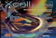 Xcell Journal Issue 49 - Xilinx - All Programmable High-Speed Serial Links Designing High-Speed Serial Links SIGNAL INTEGRITY Issues, Tools, and Methodologies High-Speed Interconnect