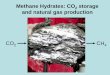 Methane Hydrates: CO 2 storage and natural gas production · Optimized production process for methane hydrate pellets has been ... analysis, and basin modeling ... and polymer injection,