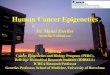 Human Cancer Epigenetics - FAPESP · Human Cancer Epigenetics Dr. Manel Esteller mesteller@idibell.cat Director Cancer Epigenetics and Biology Program (PEBC), Bellvitge Biomedical
