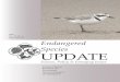 Endangered Species UPDATE - University of Michiganesupdate/octdec2007/wholeissue.pdf · 96 Endangered Species UPDATE Vol. 24 No. 4 2007 authority to enact conservation plans, people