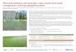 Termination of winter rye and annual ryegrass using … of winter rye and annual ryegrass utilized as a spring forage crop: Harvest treatments were applied using a sickle bar : mower;