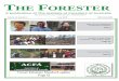 THE FORESTER - Institute of Foresters of Australia Forester June... · PO Box 7002 YARRALUMLA ACT 2600 Building 6, ... forestry projects and independent forester reports. Andrew is