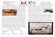 HEADLINE - Thoroughbred Daily News · WEDNESDAY, OCTOBER 29, 2008 HEADLINE NEWS For information about TDN, call 732-747-8060. THREE CHIMNEYS The Idea is Excellence. Exchange Rate’s