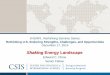 Shaking Energy Landscape - Applied Physics Laboratory · Shaking Energy Landscape ... 1990 1995 2000 2005 2010 2015 2020 2025 2030 2035 2040 ... increase in gas output goes to domestic