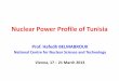 Nuclear Power Profile of Tunisia - Atoms for Peace and ... · Nuclear Power Profile of Tunisia Prof. Hafedh BELMABROUK National Centre for Nuclear Science and Technology Vienna, 17