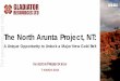 The North Arunta Project, NT - static1.squarespace.com projects in New South Wales, titano-magnetite mining and processing in New Zealand and various domesticand offshore aluminium
