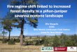 Fire regime shift linked to increased forest density in a ... regime shift linked to increased forest density in a piñon-juniper savanna ecotone landscape Ellis Margolis ... –Post-disturbance