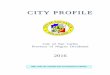 CCIITTYY PPRROOFFIILLEE - sancarloscity.gov.ph Profile/City Profile of San... · CCIITTYY PPRROOFFIILLEE ... Rizal 2,944.2753 07 15,837 1 5.37 ... 5.2 Summary Of Savings/Surplus CY