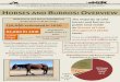 NATIONAL HORSE BURRO RANGELAND ANAGEMENT OALITION HORSES ... · NATIONAL HORSE & BURRO RANGELAND MANAGEMENT COALITION Advocating for commonsense, ecologically-sound approaches to