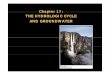 Chapter 17: THE HYDROLOGIC CYCLE AND GROUNDWATER · THE HYDROLOGIC CYCLE AND GROUNDWATER. ... hydraulic conductivity of 0.04 feet per day and 35% ... Aquifer Contamination