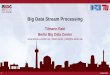 Big Data Stream Processing - ScaDS · Big Data Stream Processing ... • More details on Storm, Spark, Flink ... • Unified primitives for batch and stream processing
